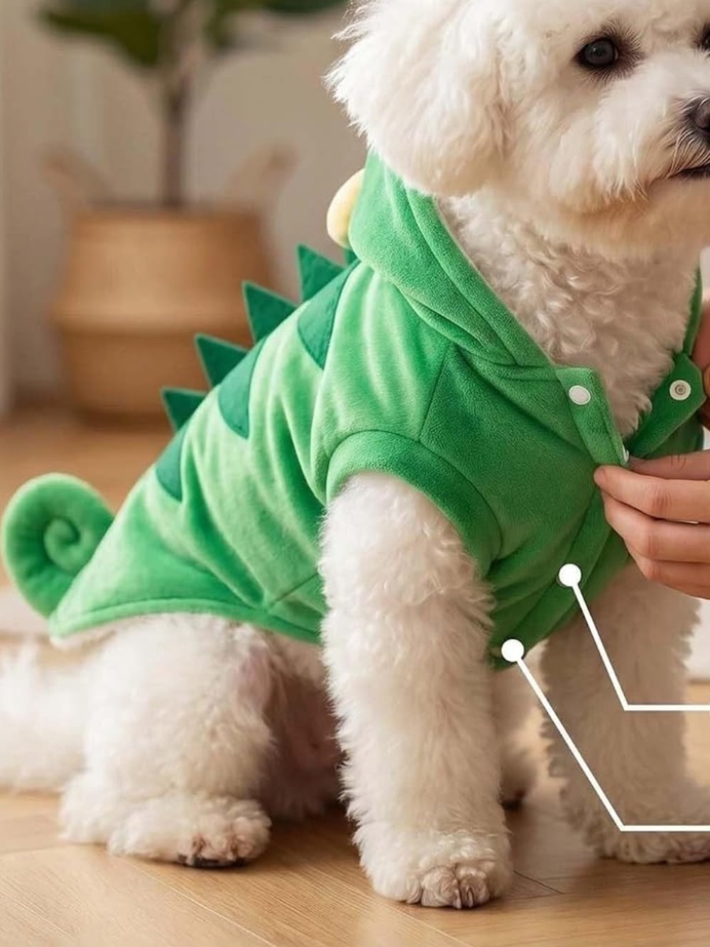 Small Cat or Dog Chameleon Costume